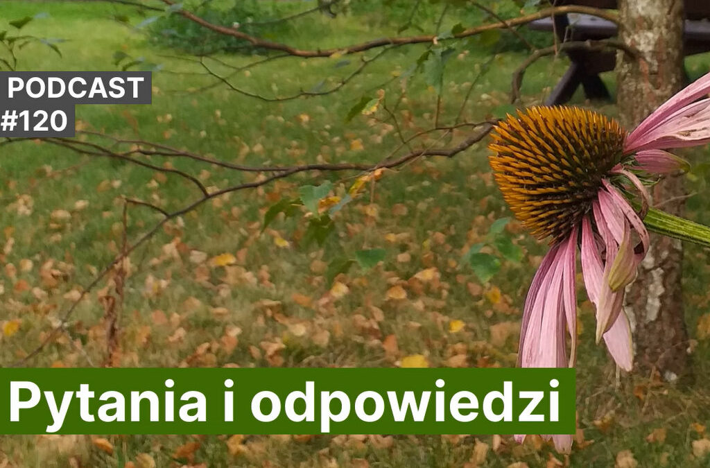 NoO 120. Pytania i&nbsp;odpowiedzi.