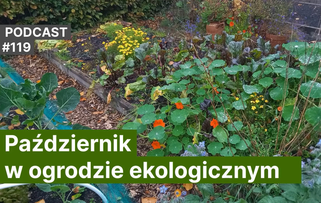 NoO 119. Październik w&nbsp;ogrodzie ekologicznym